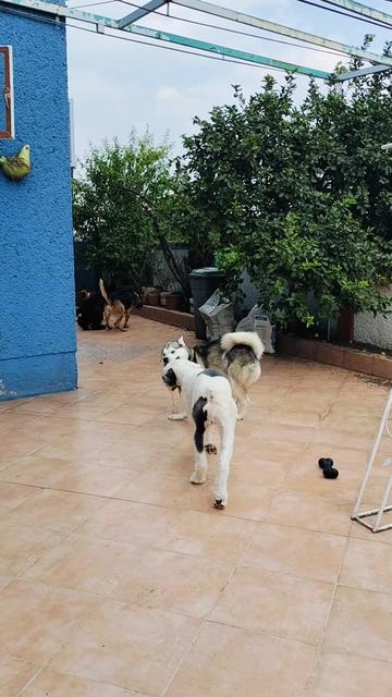 @Canbnb 🐶❤️