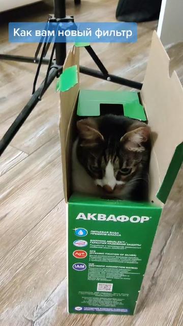@Miki Мики