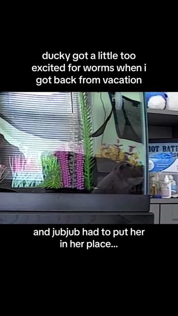 @JubJub