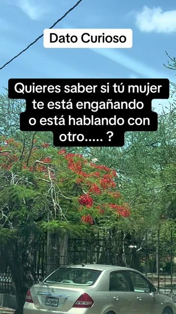@Datoscuriosos