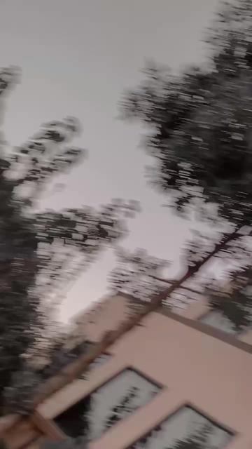 @shahzaib jutt 1234