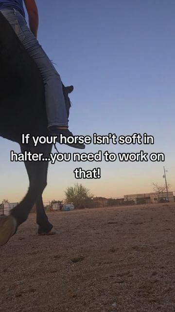 @🐎🐴picture perfect🐴🐎