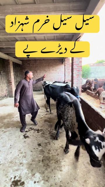 @Farming and Business Ideas