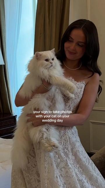 @Cleo the City Kitty