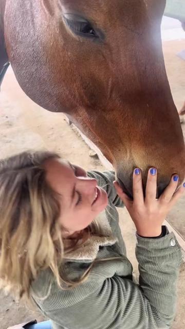 @Horses TikTok
