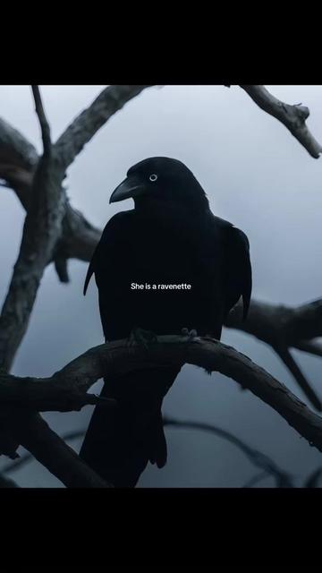 @𝓑