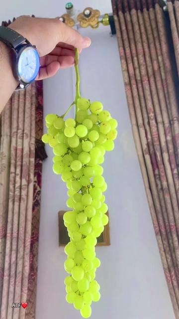 @layyah_prince09