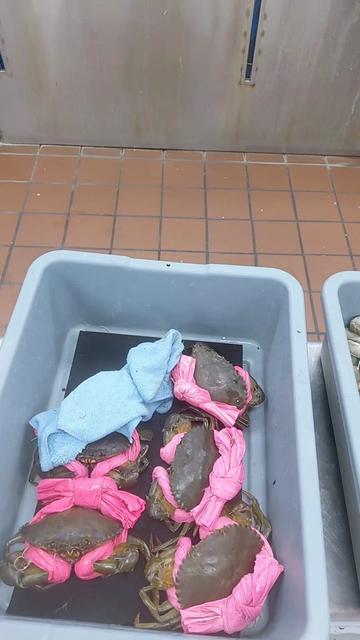 @Kendrick Kennels