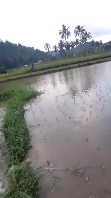 @FB: Misterwell TV