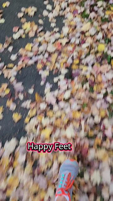 @MagsJ