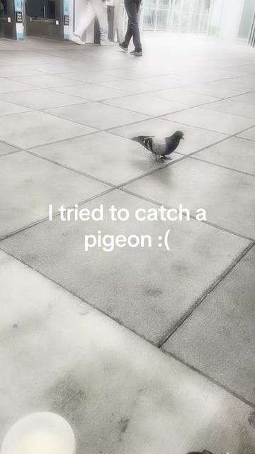 @Hrp ☣︎
