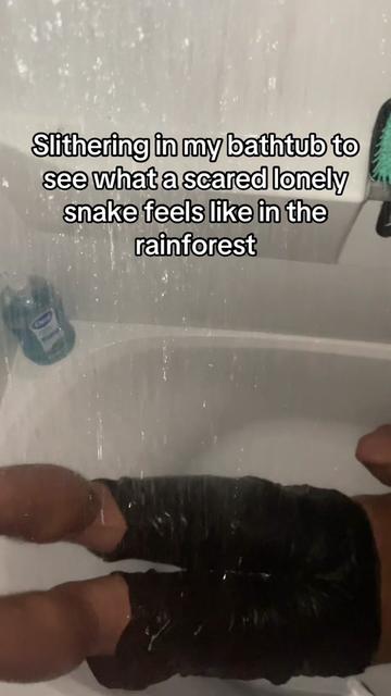 @zakaria