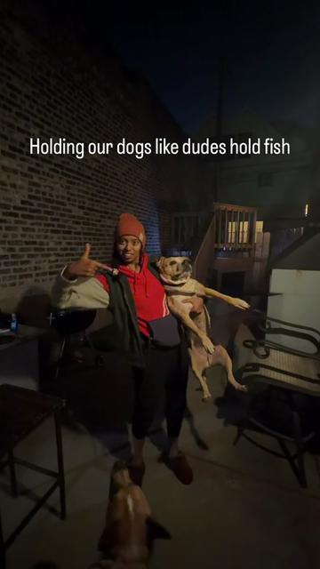 @dogstrainjen