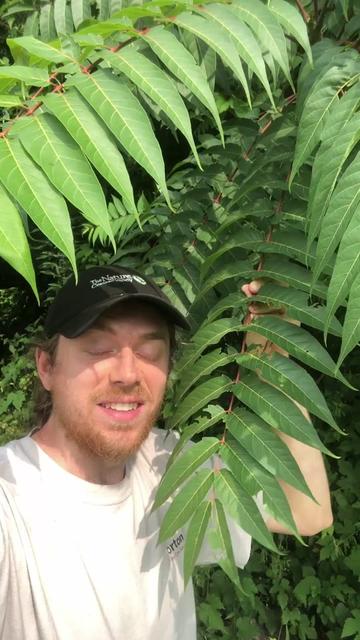 @Andrew The Arborist