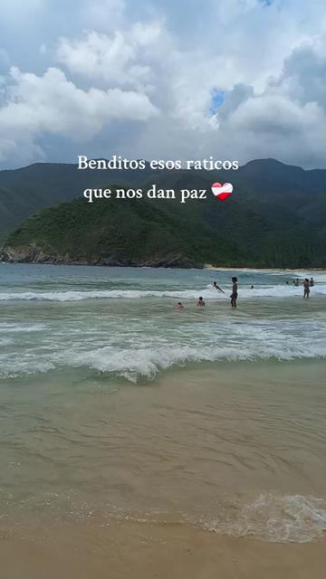 @Andreina Liendo 🌺