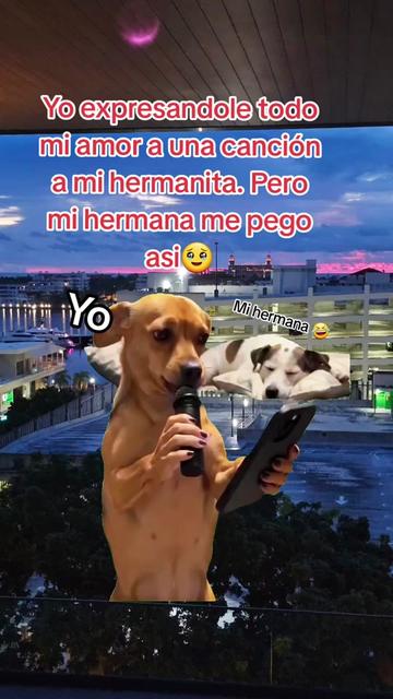 @Gabrielito 502