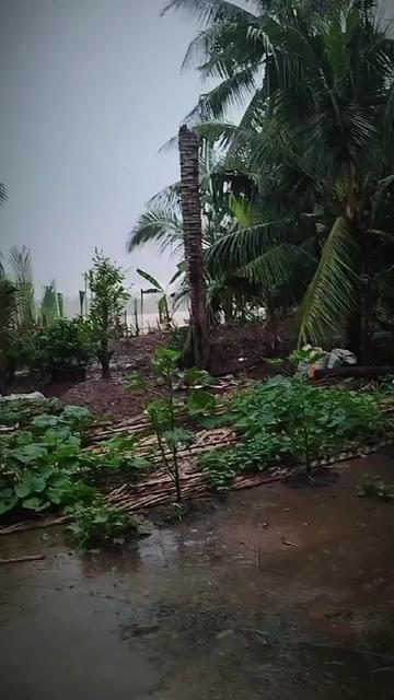 @Tầng