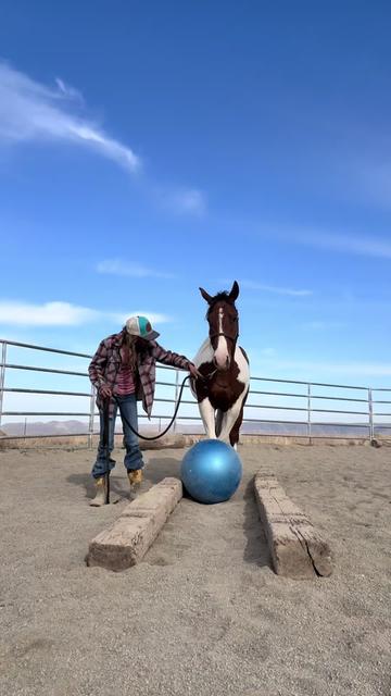 @Cowgirl Tuff Colt Training ❤️