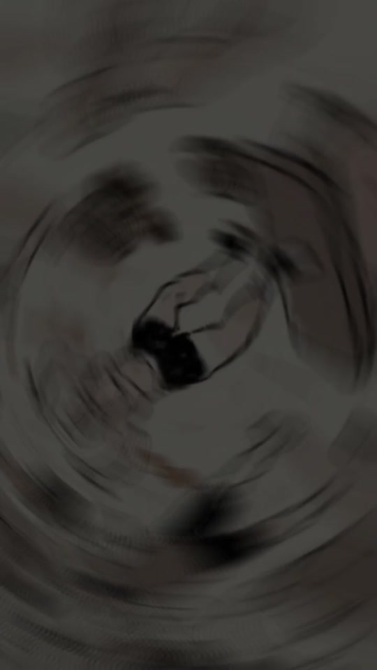 @stp