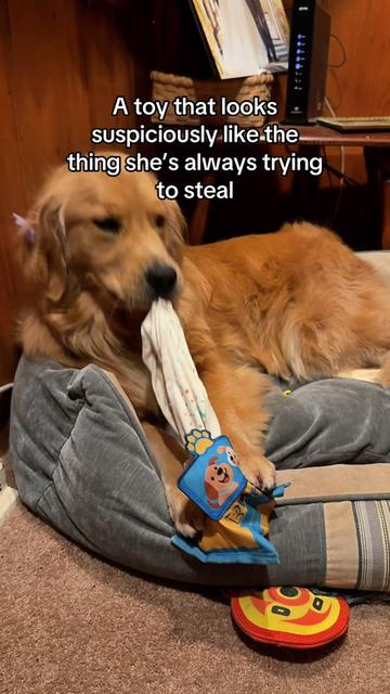 @Winter the Golden