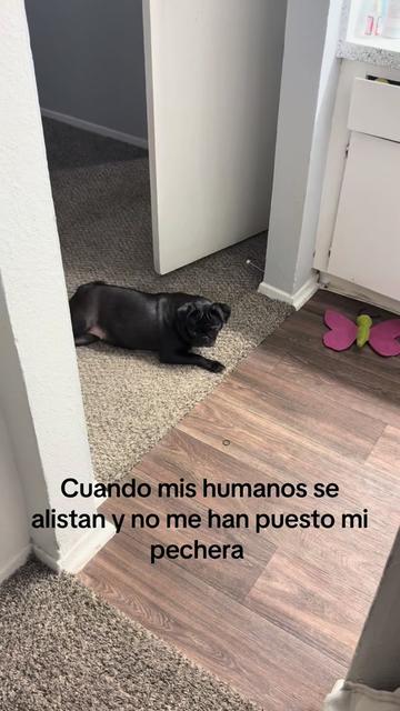 @Esmeralda💕