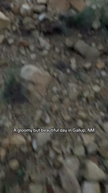 @Rippy TwoGuns