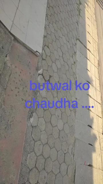 @Sahani sarkar 143💐👌