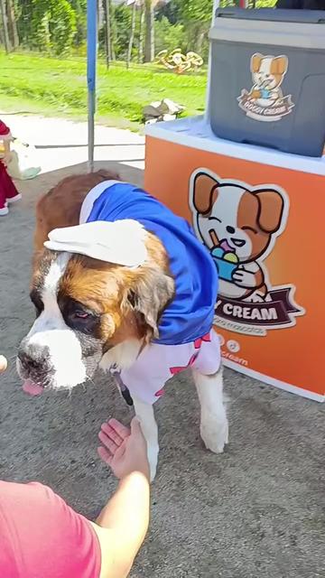@Doggy Cream