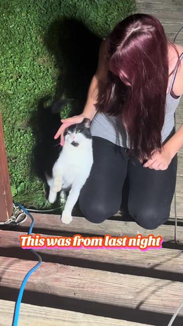 @Catlover313official