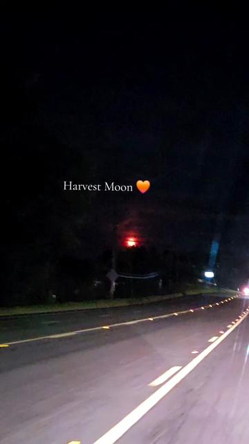 @.𝕽𝖆𝖈𝖍𝖊𝖑 𝕸𝖆𝖗𝖆𝖊🤍