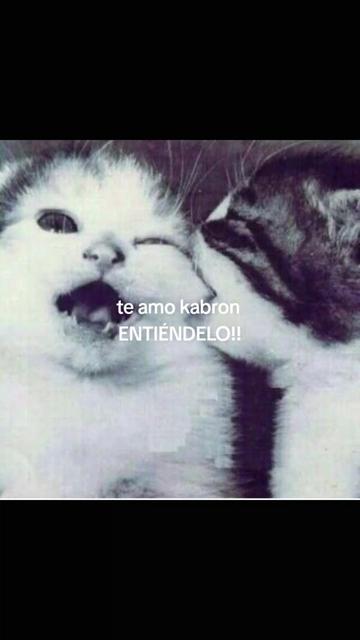 @cris ❄️