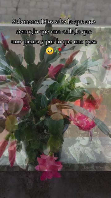@❤️💫Marichuy♈🍀💐