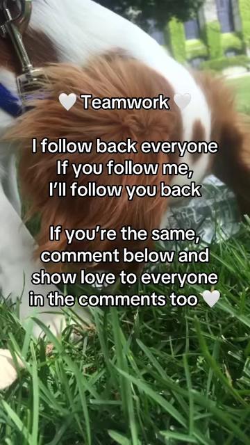 @ktjwashere