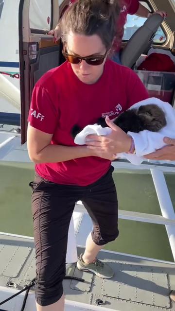 @Marine Mammal Rescue Society