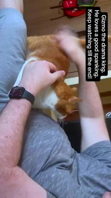 @Father5cats