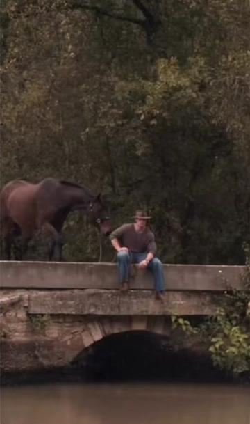 @HORSES