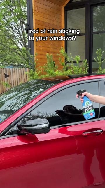 @Turtle Wax
