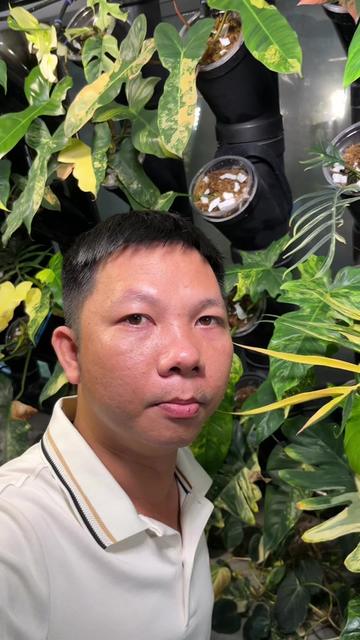 @Huy Kiểng Lá