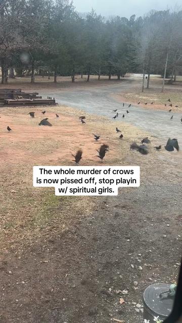 @Christy
