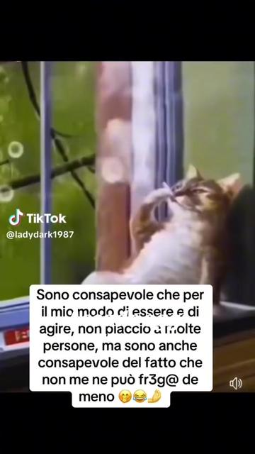 @Gabrycoach