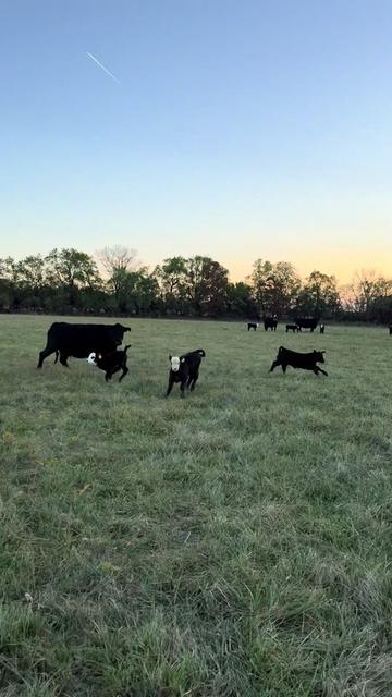 @kl2farms