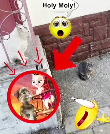 @𝓛𝓾𝓬𝓪_388