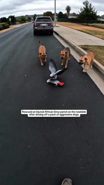 @WildwonderzZzz