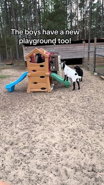 @Nature’s Spirit Farm & Forest