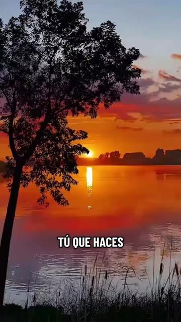 @Evelio