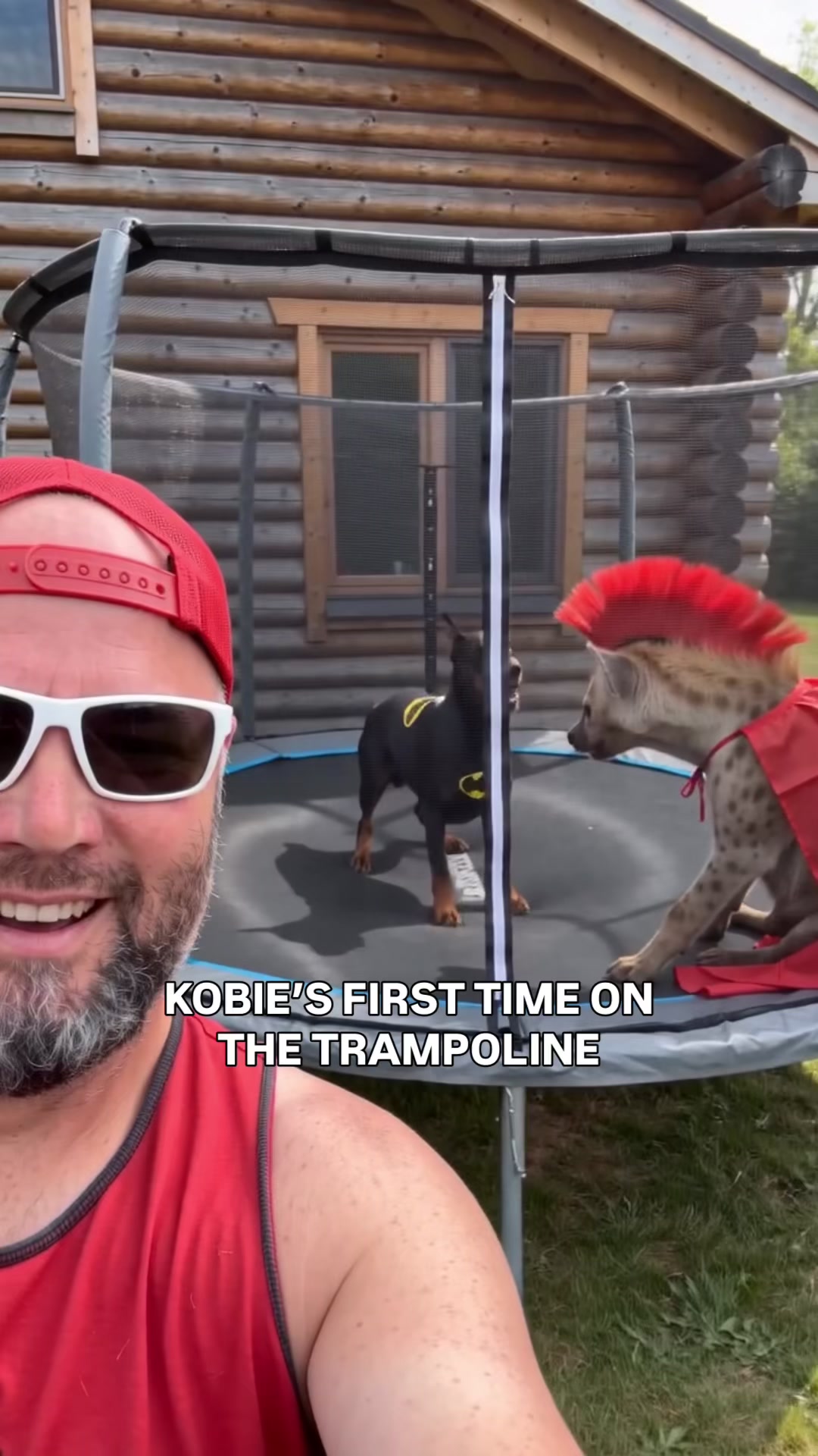 @EddieTheHyena