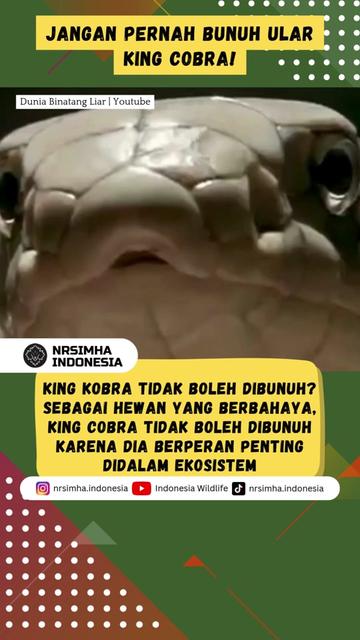 @NARASIMHA