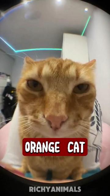 @RichyAnimals