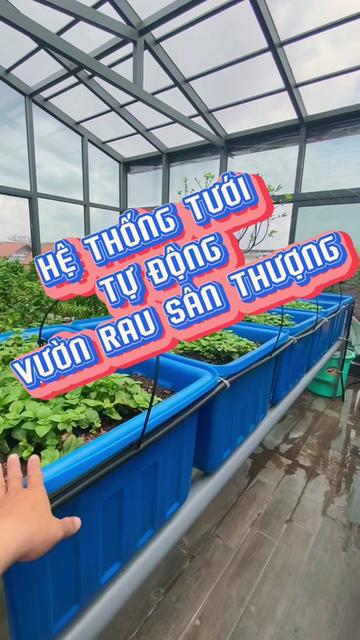 @Hy’s Garden