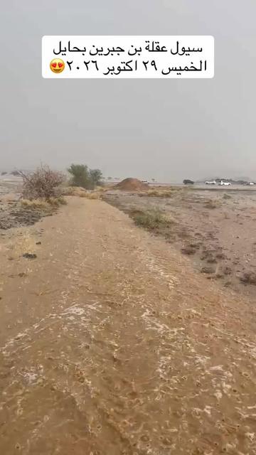 @المكشات